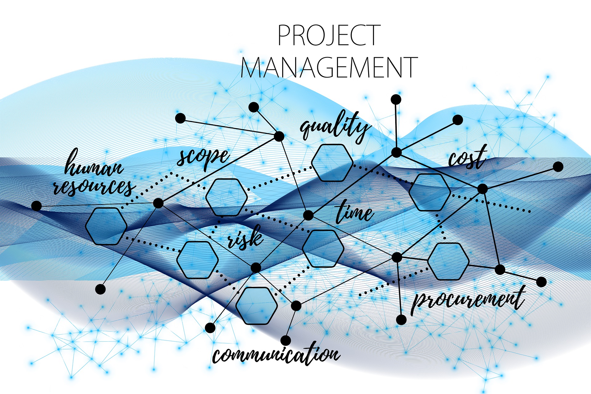Study in project management